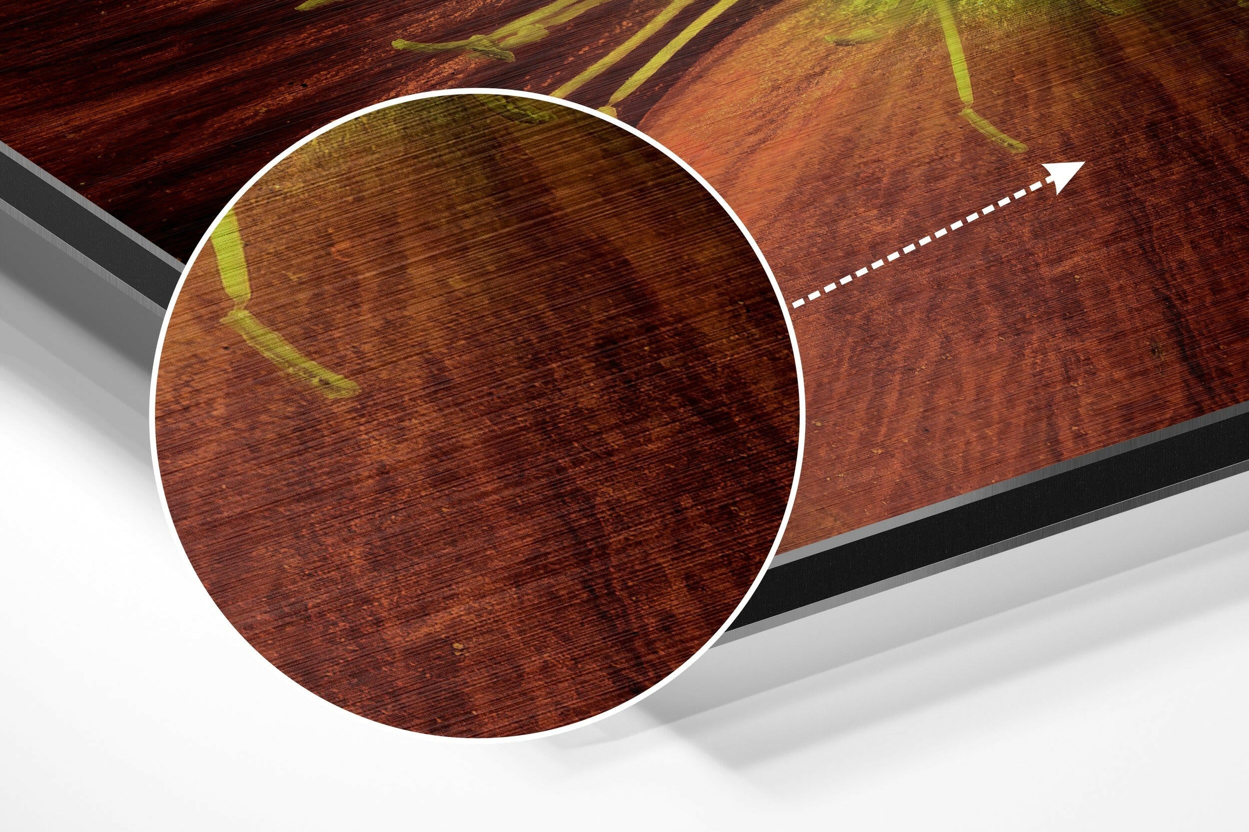 Flower Brushed Aluminium Dibond Wall Art-2