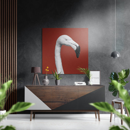 Albino Flamingo Brushed Aluminium Dibond Wall Art-0