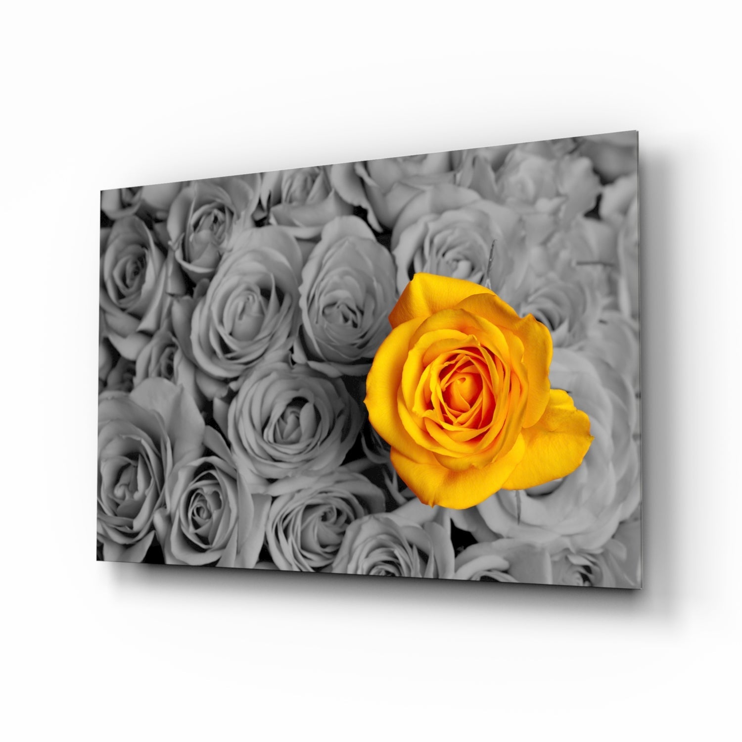 Yellow Rose Glass Wall Art-0