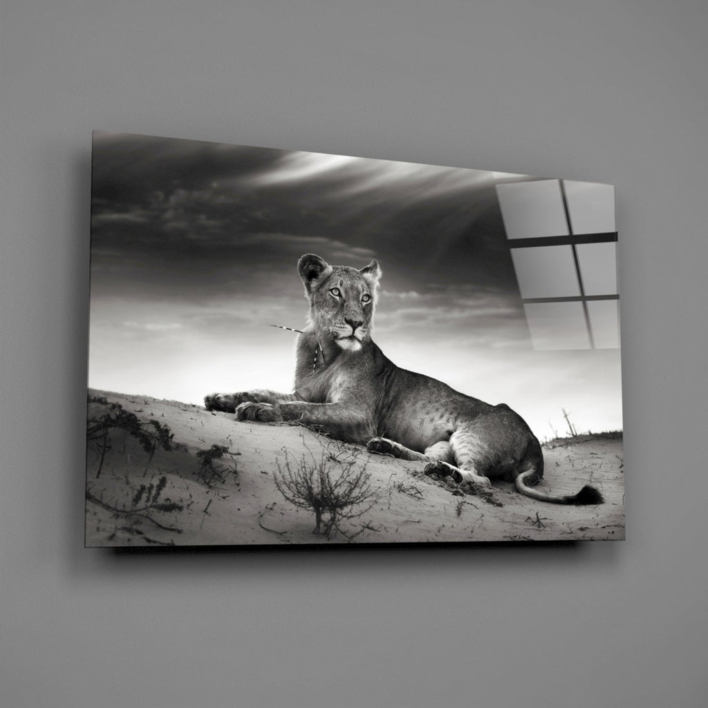 Lioness Glass Wall Art-1