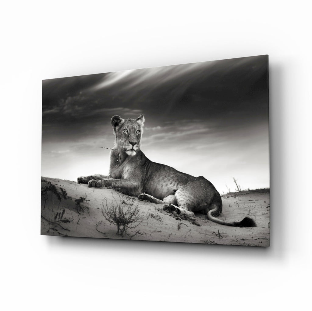 Lioness Glass Wall Art-0