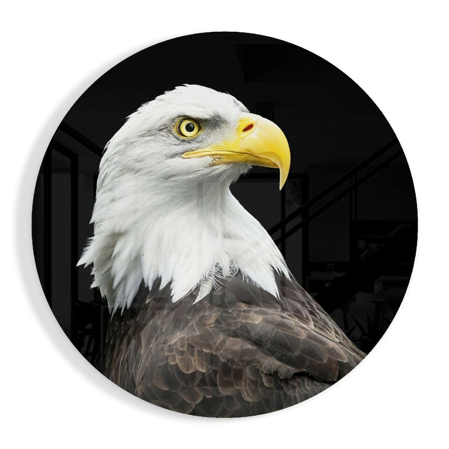 Eagle Glass Wall Art-0