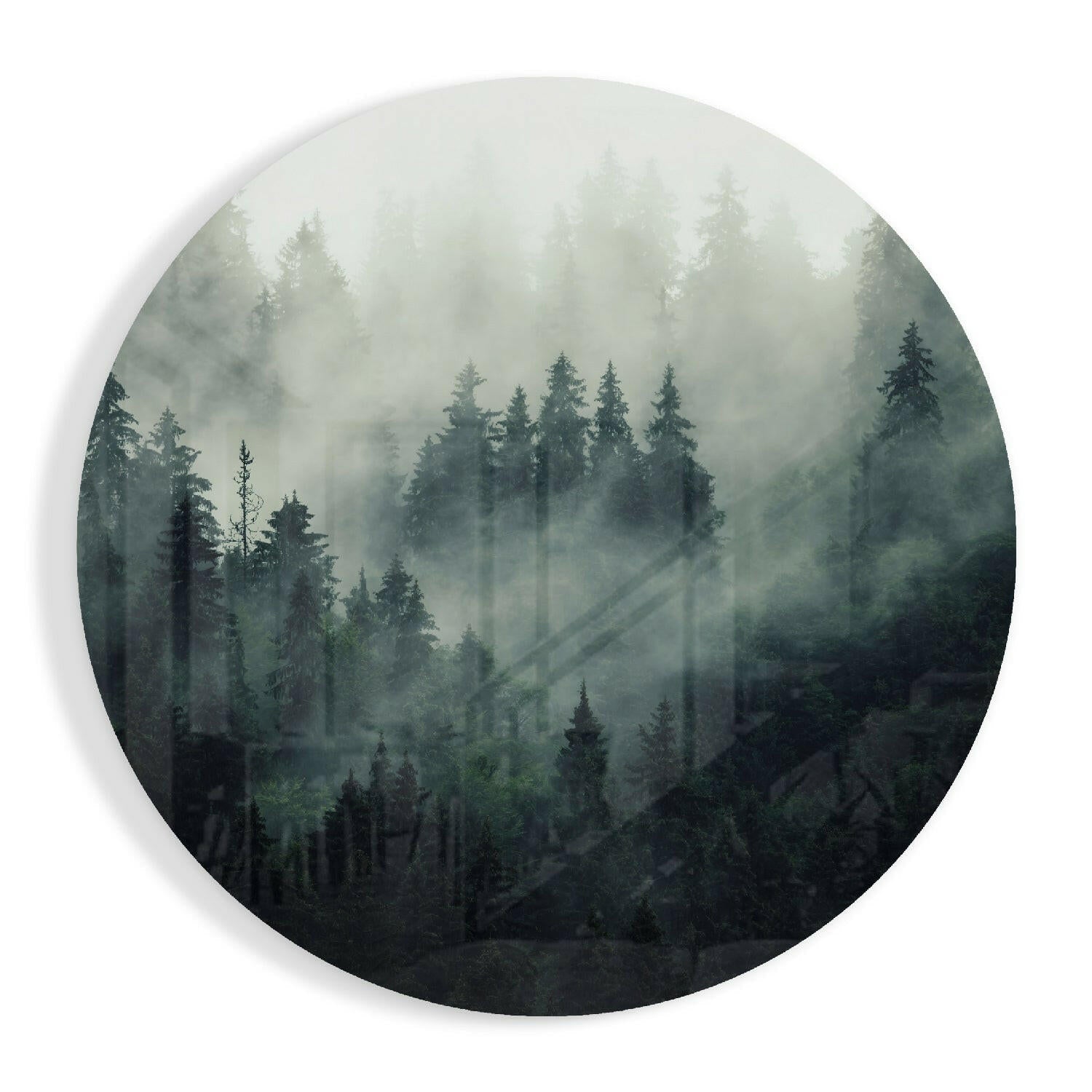 Foggy Forest Glass Wall Art-0