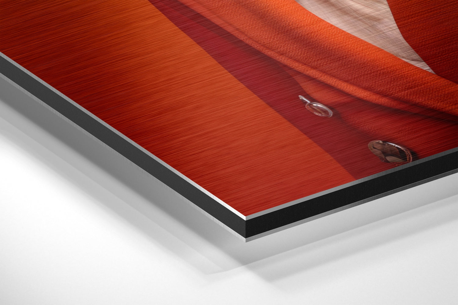 Lady Bird Brushed Aluminum Dibond Wall Art-1