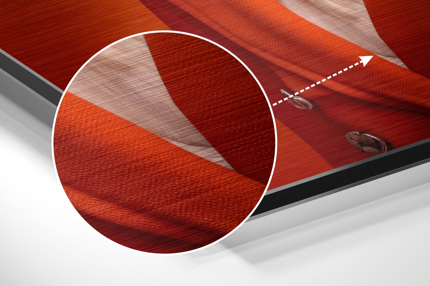 Lady Bird Brushed Aluminum Dibond Wall Art-2