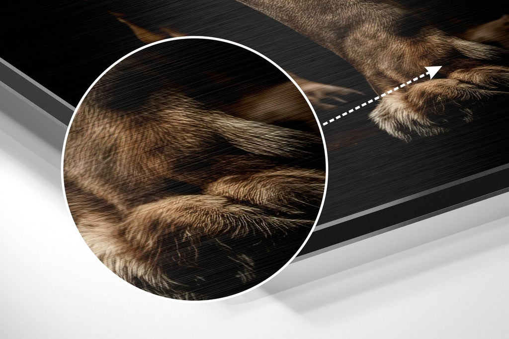 Lion Brushed Aluminum Dibond Wall Art-2