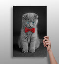 Cute Kitten Aluminum Print-0