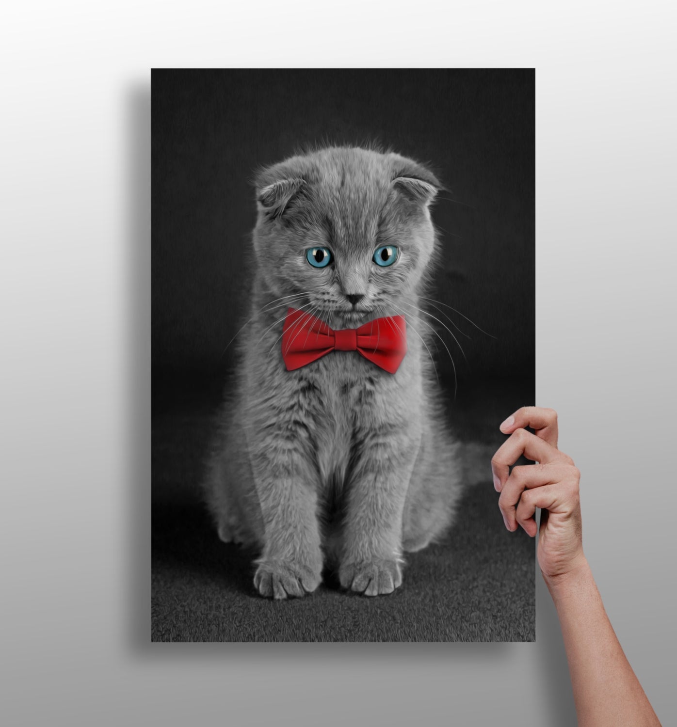 Cute Kitten Aluminum Print-0