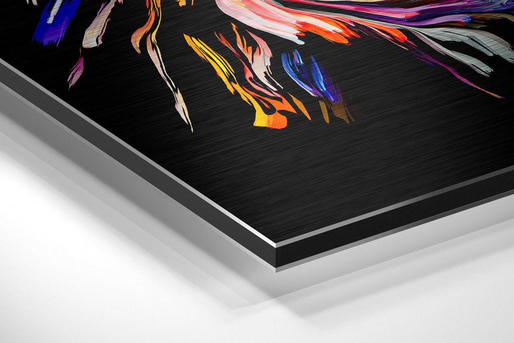 Colorful Feelings Brushed Aluminium Dibond Wall Art-1