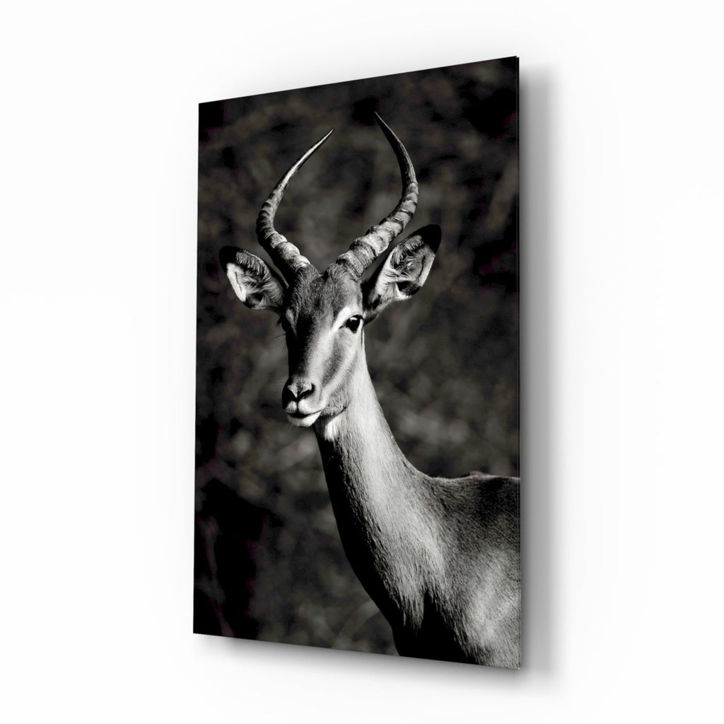 Deer Glass Wall Art-0