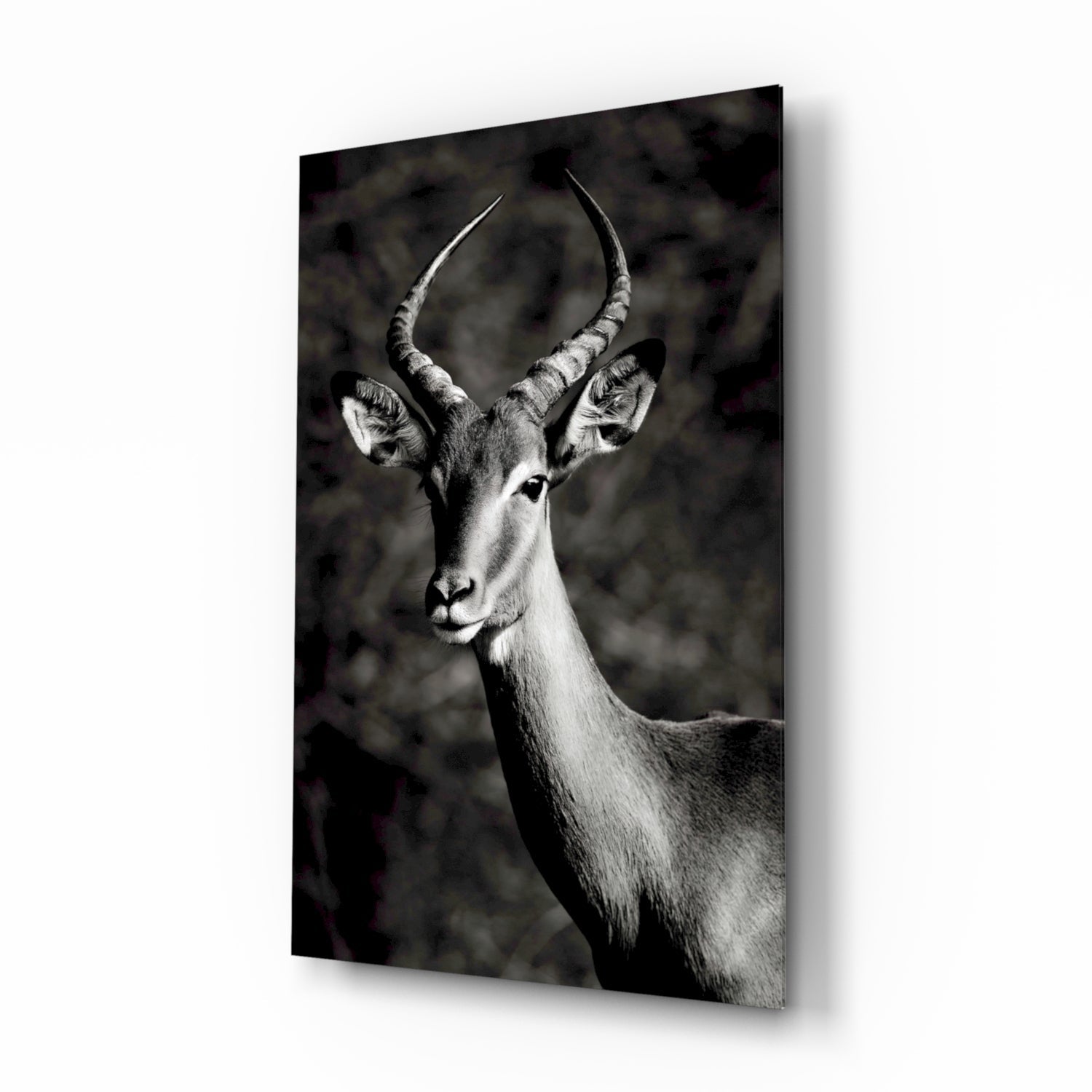 Deer Glass Wall Art-0