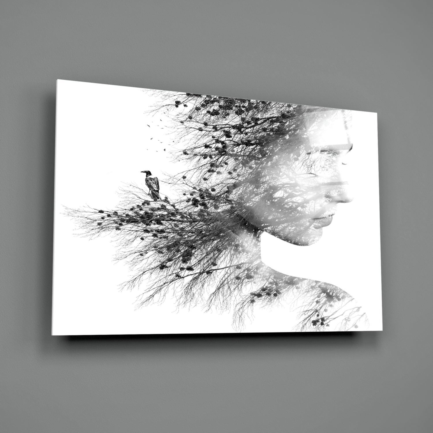 Woman Bird Glass Wall Art-1