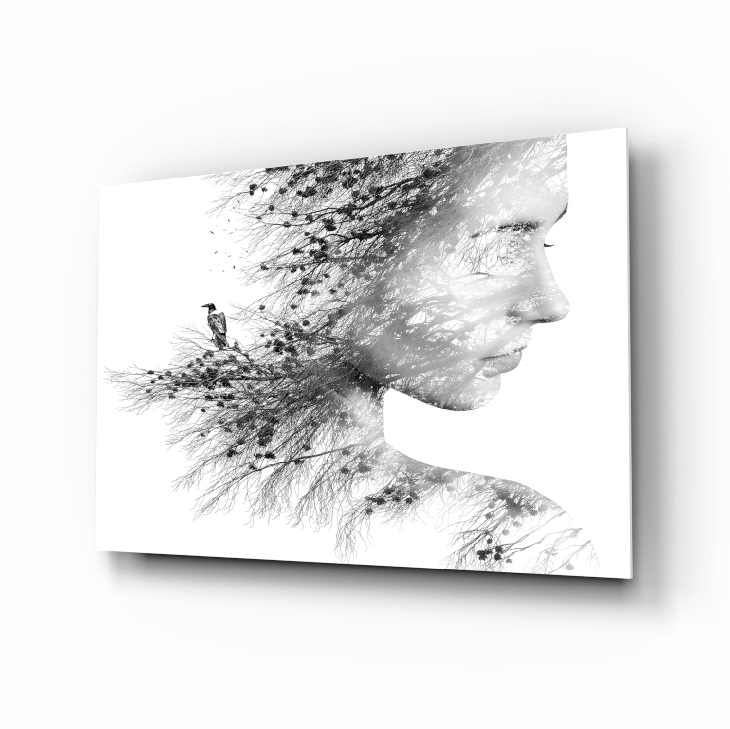 Woman Bird Glass Wall Art-0