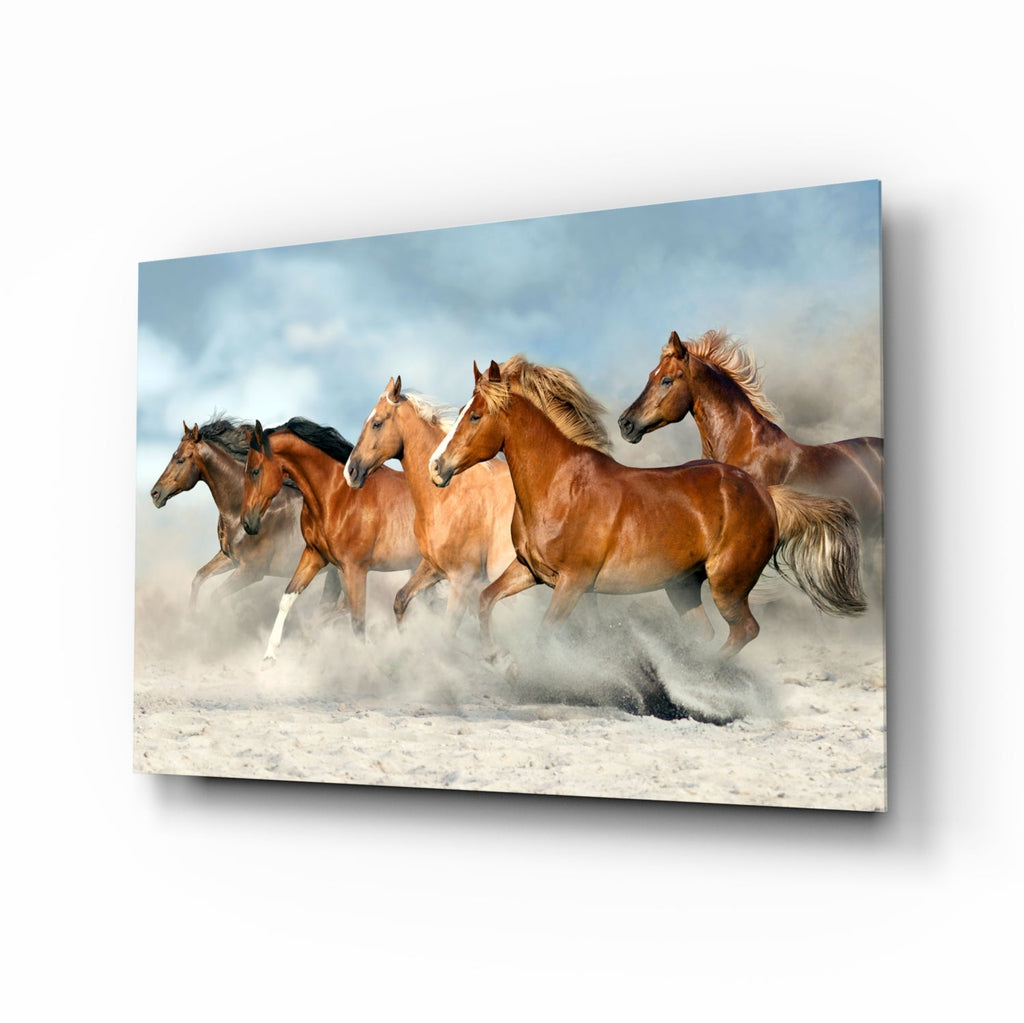 Horses Glass Wall Art-0